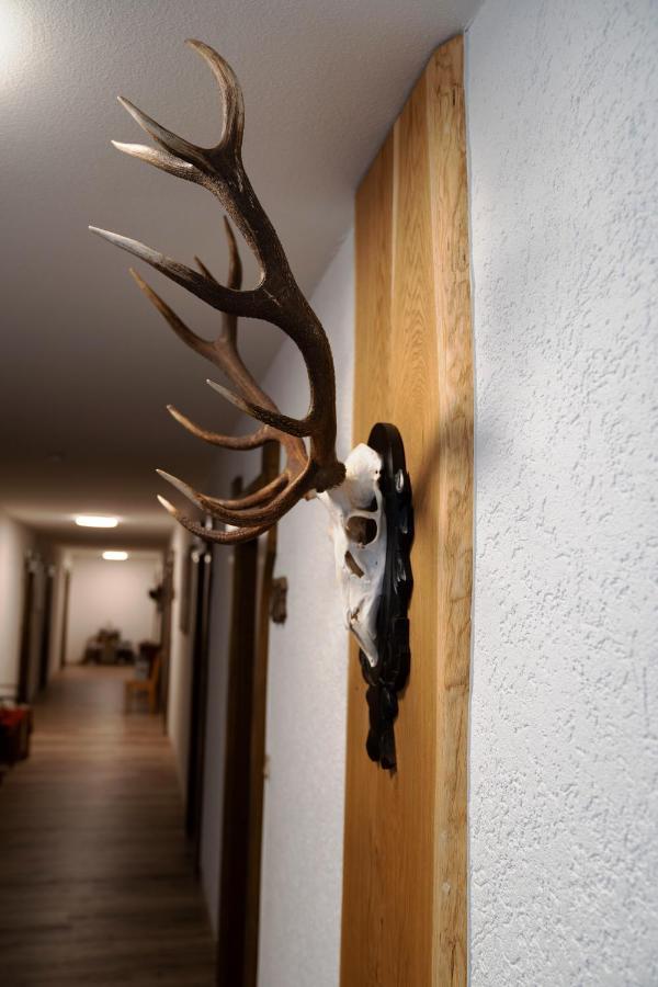 Landpension Pferdekoppel - B&B - Self Checkin Seewald المظهر الخارجي الصورة
